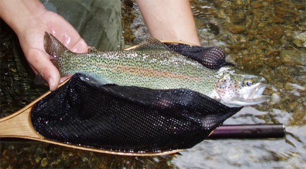 http://salmon.kirisute-gomen.com/main/fishing/fishing2005/200506242526/P6250033.s.jpg