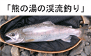 http://salmon.kirisute-gomen.com/main/link/banner.gif