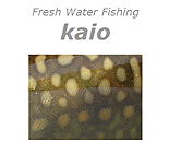 http://salmon.kirisute-gomen.com/main/link/mr.kaio.jpg